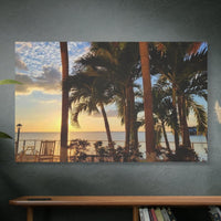 Sitting by the Palms