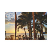 Sitting by the Palms